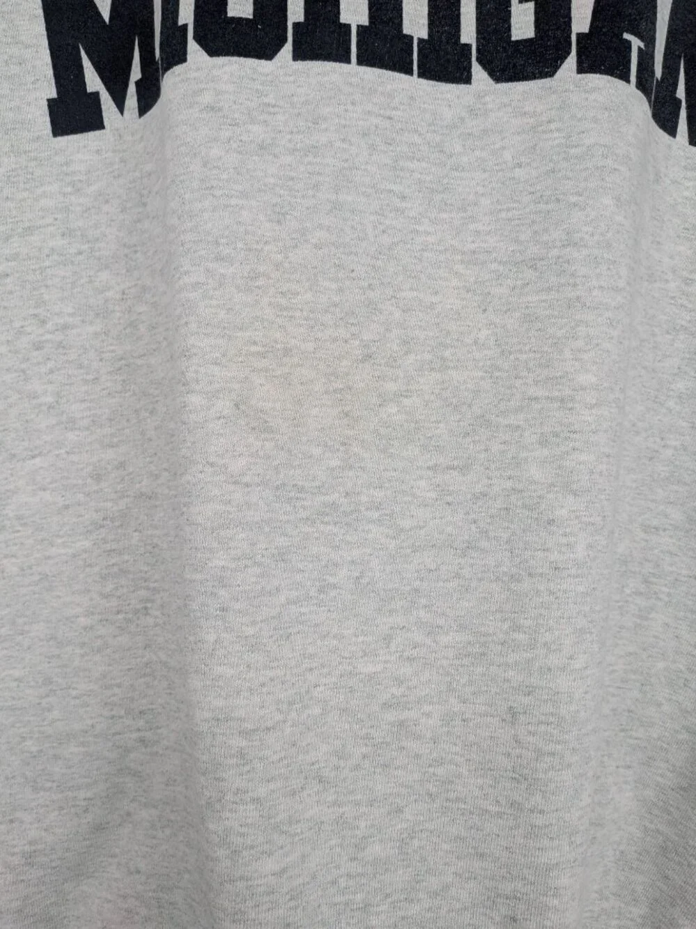 Vintage 90s Michigan Crewneck Sweatshirt Fruit of the Loom Ivy USA Made Large
